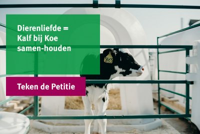 Teken de petitie van Vegetariersbond voor betere zuivelsector en kalfvriendelijkere melk