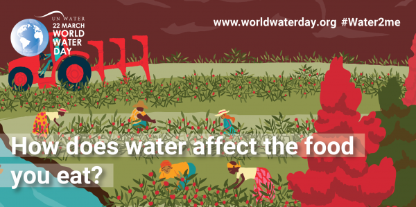 wereld water dag watergebruik in het voedsel