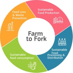 farm to fork en wereldbevolking voeden
