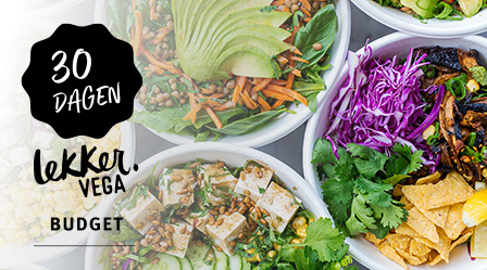 Koken met Tofu in de gratis veggie challenge van de Vegetariersbond