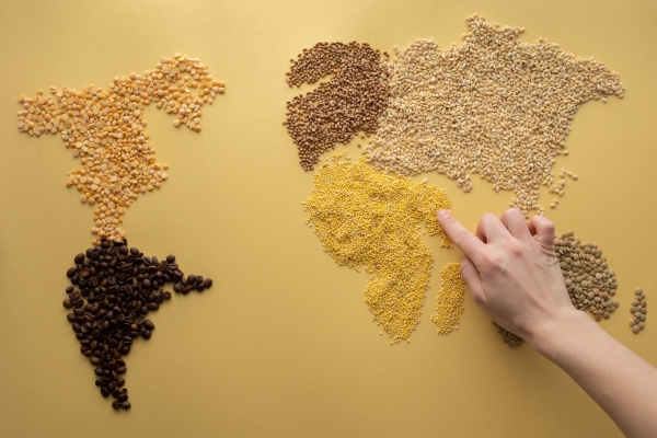 Whitepaper Wereld Voedselverdeling
