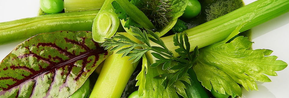 Toestemming onderwerpen Bereid Voedingsrichtlijnen over vitamine B12 voor vegetariërs | Vegetariersbond