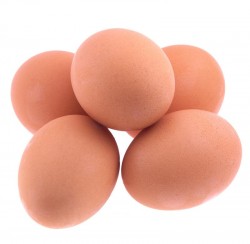 pastel Rechtsaf katje Eieren | Vegetariersbond